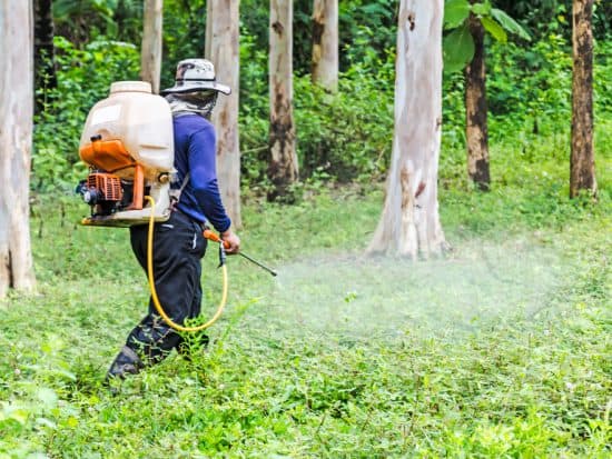 Best Backpack Sprayer