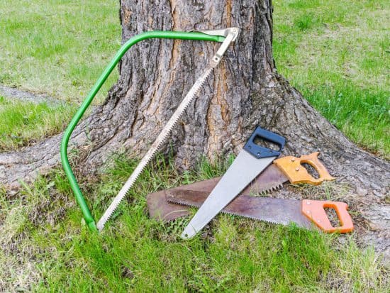 Best Bow Saw