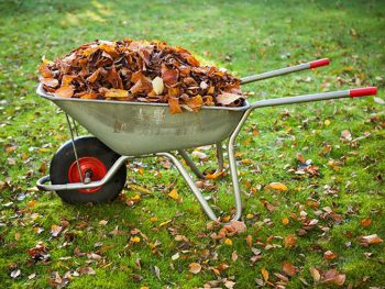 Best Garden Cart