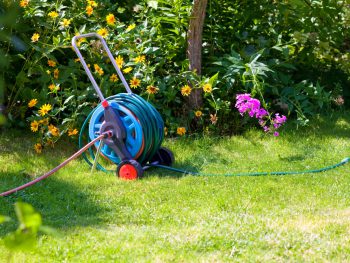 Best Garden Hose Reel