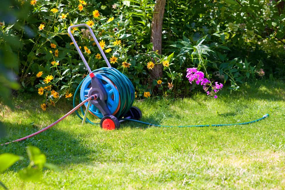 Top 5 Best Garden Hose Reels for the Money With Reviews 2022