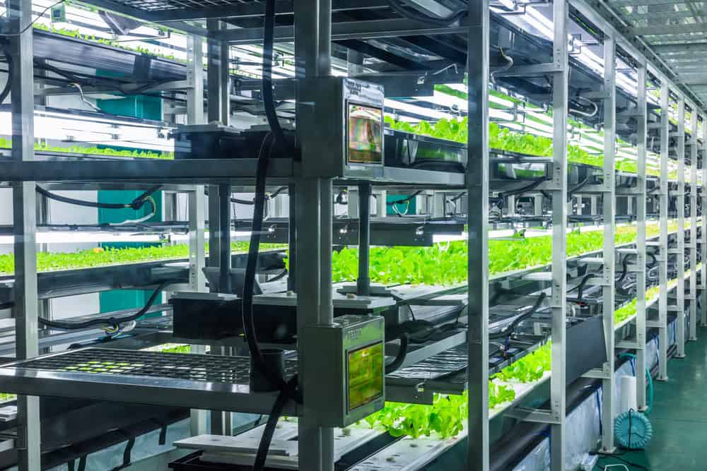 Top 5 Best Hydroponic Systems Reviews 2022 [Buying Guide]