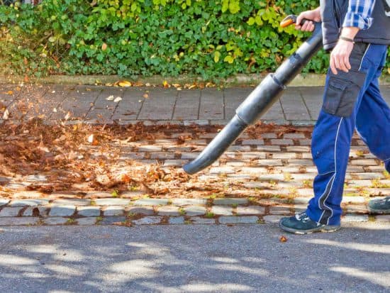 Best Leaf Vacuum