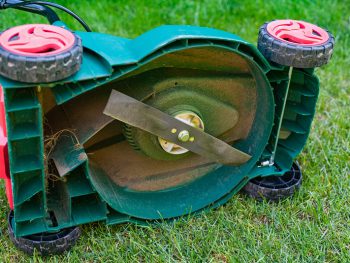 Close up modern lawn mower on the grass in the backyard