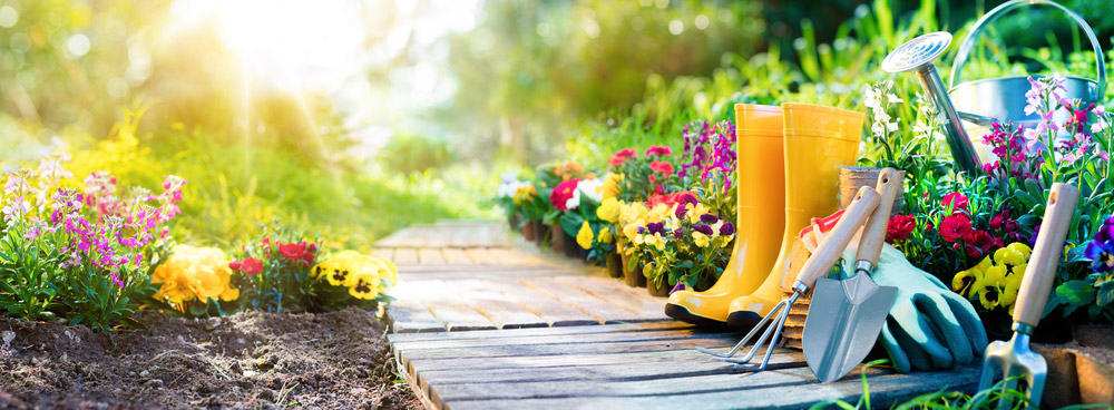 SharyCherry Gardening